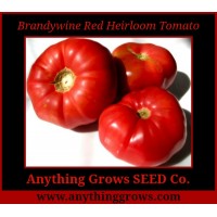 Tomato - Brandywine, Beefsteak - Organic